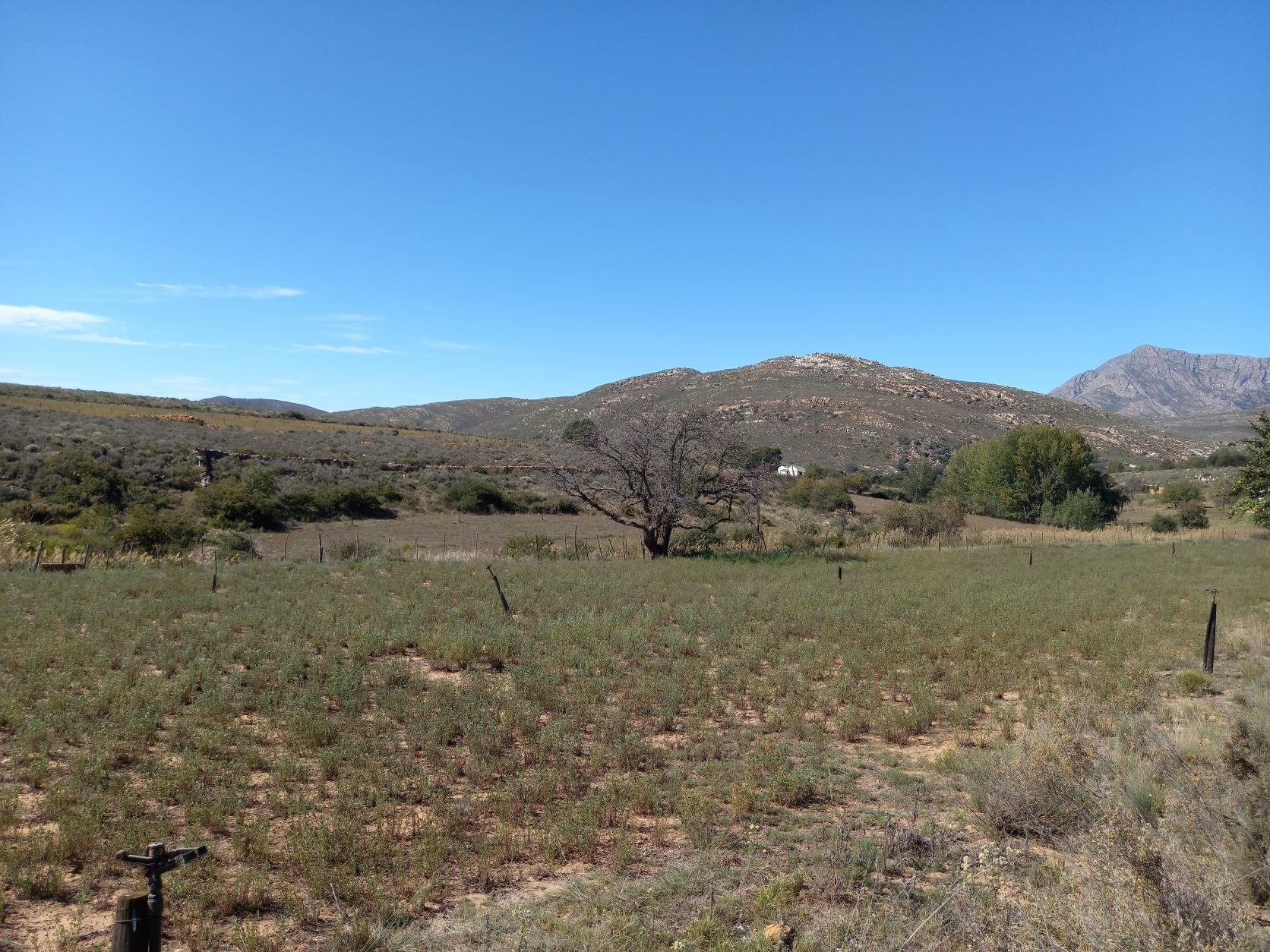 Commercial Property for Sale in Uniondale Rural Western Cape